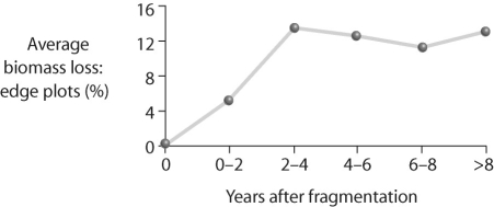 <strong>Figure 55.6 In looking at the figure above,what can be said about edge effects?</strong> A)Biomass declines sharply along edges of forest fragments. B)Biomass increases along the edges of forest fragments. C)Species diversity decreases along the edges of forest fragments. D)Fragmentation does not affect biomass.