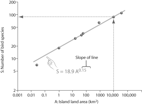 <strong>Figure 55.7 In looking at the species-area plot in the figure above,what can be concluded?</strong> A)Number of bird species increases linearly with island area. B)Number of bird species is different on various islands. C)Diversity is independent from island area. D)Number of bird species increases exponentially with island area.
