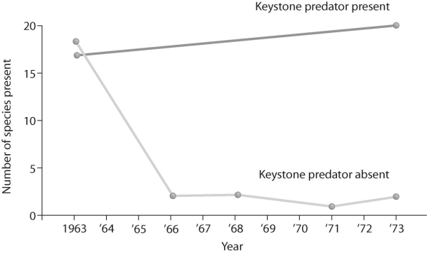 <strong>Figure 53.7 What does the graph in Figure 53.7 tell you about the definition of a keystone species?</strong> A)A keystone species has little interaction with other species in an environment. B)Removing a keystone species from the community drastically reduces diversity. C)Adding a keystone species to the community will make it more robust. D)A keystone species added to the community can make it more robust. E)Removing a keystone species from the community will eventually allow for the invasion of a new species.