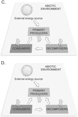 Figure 54.1 How are the components in Figure 54.1 linked by the flow of energy?