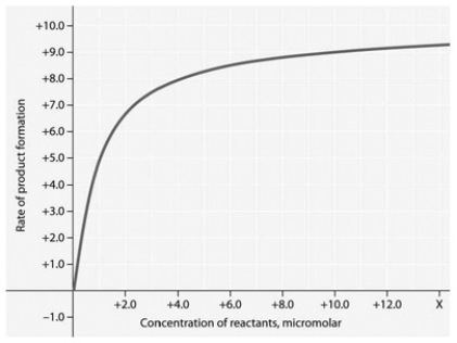 <strong>  Rate of an enzyme-catalyzed reaction as a function of varying reactant Concentration, with the concentration of enzyme constant. In the accompanying figure, why does the reaction rate plateau at higher reactant concentrations?</strong> A) Feedback inhibition by product occurs at high reactant concentrations. B) Most enzyme molecules are occupied by substrate at high reactant concentrations. C) The reaction nears equilibrium at high reactant concentrations. D) The activation energy for the reaction increases with reactant concentration. E) The rate of the reverse reaction increases with reactant concentration. <div style=padding-top: 35px> 