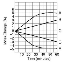 <strong>Five dialysis bags constructed of membrane, which is permeable to water and impermeable to sucrose, were filled with various concentrations of sucrose and then placed in separate beakers containing an initial concentration of 0.6 M sucrose solution. At 10-minute intervals, the bags were massed (weighed) and the percentage change in mass of each bag was graphed.   Which line in the graph represents the bag with the highest initial concentration of sucrose?</strong> A) A B) B C) C D) D E) E <div style=padding-top: 35px> 