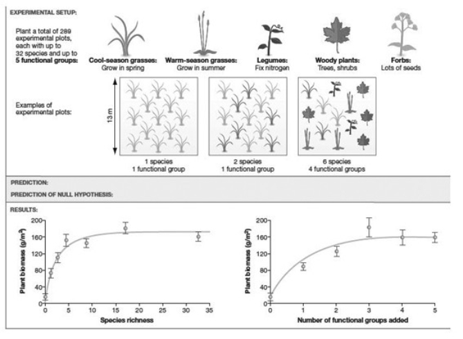 -Use the accompanying figure to answer this question: What factors have a positive effect on plant biomass, based on the data presented?