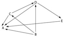<strong>Use the following diagram of a hypothetical food web to answer the question(s) below. The arrows represent the transfer of energy between the various trophic levels. Which letter represents an organism that could be a producer?</strong> A) A B) B C) C D) D E) E