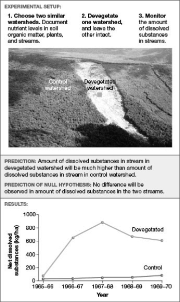 <strong> Based on the experiment in the accompanying figure, which of the following are plausible reasons for the result? I) No nutrients evaporate now that vegetation is absent. II) Nutrients dissolve in the water running through the watershed. III) Nutrients are attached to small particles of sand or clay that leave the watershed. IV) Plant roots that held soil particles in place are no longer there.</strong> A) only I and III B) only II and IV C) only I, II, and IV D) only II, III, and IV E) only I, II, and III