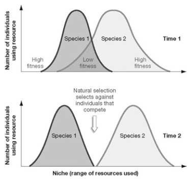 <strong> What is the term used to describe the process shown in the panels in the accompanying figure, assuming Time 2 follows Time 1?</strong> A) competition B) species interaction C) niche differentiation D) niche realization