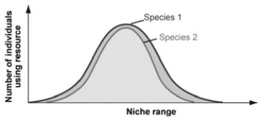 <strong> In the accompanying figure, which species is the stronger competitor?</strong> A) species 1 B) species 2 C) Both species compete equally. D) It is not possible to tell from this figure.