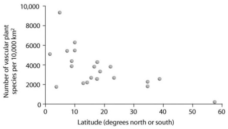 <strong> In the accompanying figure, what can be stated about species diversity and latitude?</strong> A) As latitude increases, diversity decreases. B) As latitude decreases, diversity decreases. C) Species diversity is independent of latitude. D) Species diversity and latitude cannot be compared using this figure.