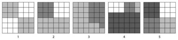 <strong>Refer to the accompanying art to answer the question below. According to the Shannon Diversity Index, which of the five blocks shown, with each containing 36 squares, would show the greatest diversity?</strong> A) 1 B) 2 C) 3 D) 4 E) 5