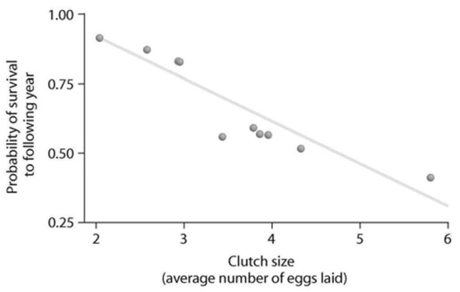 <strong> Looking at the data in the accompanying figure, what can be said about survival and clutch size?</strong> A) Animals with low survival tend to have smaller clutch sizes. B) Large clutch size correlates with low survival. C) Animals with high survival tend to have larger clutch sizes. D) Probability of survivorship does not correlate with clutch size.