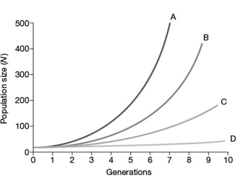 <strong> In the accompanying figure, which of the lines represents the highest per capita rate increase (r)?</strong> A) line A B) line B C) line C D) line D