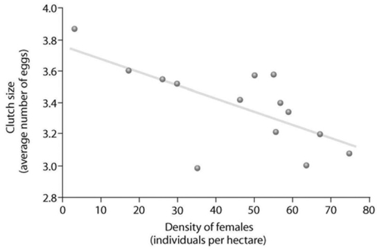 <strong> Based on the accompanying figure, which of the following statements correctly interprets the data?</strong> A) As female density increases, clutch size increases. B) As female density increases, survivorship decreases. C) Clutch size decreases as female density increases.