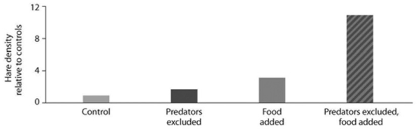 <strong> Looking at the data in the accompanying figure from the hare/lynx experiment, what conclusion can you draw? I) Food is a factor in controlling hare population size. II) Excluding lynx is a factor in controlling hare population size. III) The effect of excluding predators and adding food in the same experiment is greater than the sum of excluding lynx alone plus adding food alone.</strong> A) only I B) only II C) only III D) only II and III E) I, II, and III