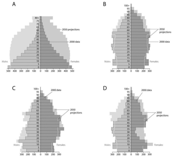 <strong> Based on the diagrams in the figure shown and on the large population of baby boomers in the United States, which graph best reflects U.S. population in 20 years?</strong> A) A B) B C) C D) D