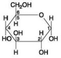 <strong> If two molecules of the general type shown in the accompanying figure were linked together, carbon-1 of one molecule to carbon-4 of the other, the single molecule that would result would be ________.</strong> A) maltose B) fructose C) glucose D) galactose E) sucrose