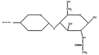 <strong>Use the following paragraph to answer the corresponding question(s). Masatomo Kawakubo et al. reported in Science in August 2004 that the human stomach contains a natural, carbohydrate-based antibiotic that probably protects a large portion of the population from various diseases caused by the bacterium Helicobacter pylori. This bacterium has been linked to peptic ulcers, gastritis, and stomach cancer. This naturally occurring antibiotic is described by Kawakubo as having a terminal α 1,4-linked N-acetylglucosamine (NAG), and it acts by inhibiting the biosynthesis of a major component of the cell wall in H. pylori. [SOURCE: M. Kawakubo et al., Science 305 (2004): 1003.] Which of the following structures is most consistent with Kawakubo's description of this antibiotic?</strong> A)   B)   C)   D)   <div style=padding-top: 35px> 