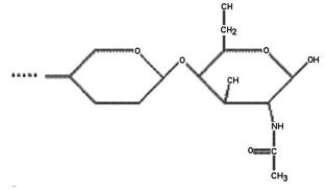 <strong>Use the following paragraph to answer the corresponding question(s). Masatomo Kawakubo et al. reported in Science in August 2004 that the human stomach contains a natural, carbohydrate-based antibiotic that probably protects a large portion of the population from various diseases caused by the bacterium Helicobacter pylori. This bacterium has been linked to peptic ulcers, gastritis, and stomach cancer. This naturally occurring antibiotic is described by Kawakubo as having a terminal α 1,4-linked N-acetylglucosamine (NAG), and it acts by inhibiting the biosynthesis of a major component of the cell wall in H. pylori. [SOURCE: M. Kawakubo et al., Science 305 (2004): 1003.] Which of the following structures is most consistent with Kawakubo's description of this antibiotic?</strong> A)   B)   C)   D)   <div style=padding-top: 35px> 