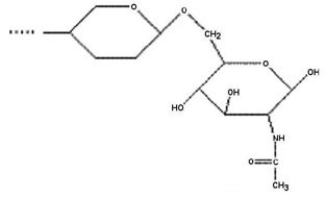 <strong>Use the following paragraph to answer the corresponding question(s). Masatomo Kawakubo et al. reported in Science in August 2004 that the human stomach contains a natural, carbohydrate-based antibiotic that probably protects a large portion of the population from various diseases caused by the bacterium Helicobacter pylori. This bacterium has been linked to peptic ulcers, gastritis, and stomach cancer. This naturally occurring antibiotic is described by Kawakubo as having a terminal α 1,4-linked N-acetylglucosamine (NAG), and it acts by inhibiting the biosynthesis of a major component of the cell wall in H. pylori. [SOURCE: M. Kawakubo et al., Science 305 (2004): 1003.] Which of the following structures is most consistent with Kawakubo's description of this antibiotic?</strong> A)   B)   C)   D)   <div style=padding-top: 35px> 
