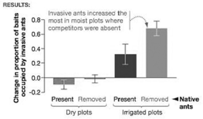 The accompanying graph shows data from a research study designed to test the hypothesis that both abiotic and biotic factors can affect the distribution of invasive Argentine ants. Using the graph, identify the statement that is best supported by the data.