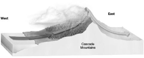 -In the figure above, which direction will have a desert biome?