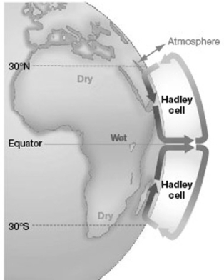 -In the map above, where will the weather be wetter? I. near 30° N II. near 30° S III. near the Equator
