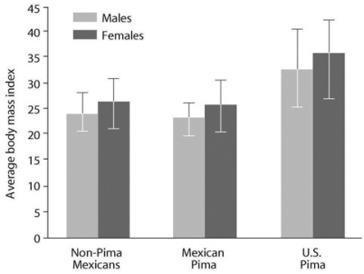 The Pimas are a group of people living in the southwestern United States and Mexico. Although Pima Indians living in the United States and Mexico have a similar genetic background, a five-fold increase in the incidence of type II diabetes mellitus among U.S. Pima has been reported. The body mass index (a measure of obesity) of Mexicans of non-Pima descent, Mexicans of Pima descent, and Pimas living in the United States is shown in the accompanying figure. Based on this information and the graph, what can you infer about the incidence of type II diabetes mellitus?