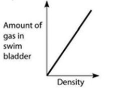 <strong>Use the accompanying figure and information to answer the question(s) below. Which graph properly depicts the relationship between the amount of gas in the swim bladder and the density of the fish?</strong> A) B) C) D) E) Graph with density on the x-axis and amount of gas in swim bladder on the y-axis. Both axes are unscaled, increasing. A line increases steeply from the origin and then flattens near the top of the y-axis.