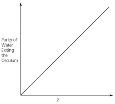 <strong> Which of the following factors, when used to label the horizontal axis of the accompanying graph, would account most directly for the shape of the plot?</strong> A) spongin concentration (gm/unit volume) B) rate of cribrostatin synthesis (molecules/unit time) C) number of pores per sponge D) number of spicules per sponge E) number of choanocytes per sponge