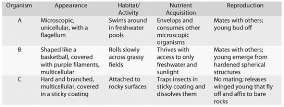 <strong> From the information provided in the accompanying table, how would you classify the feeding strategy of organism C?</strong> A) suspension feeding B) predation C) parasitism D) suspension feeding and predation E) predation and parasitism