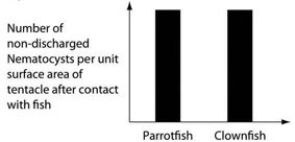 <strong>Use the following information to answer the question below. An elementary school science teacher decided to liven up the classroom with a saltwater aquarium. Knowing that saltwater aquaria can be quite a hassle, the teacher proceeded stepwise. First, the teacher conditioned the water. Next, the teacher decided to stock the tank with various marine invertebrates, including a polychaete, a siliceous sponge, several bivalves, a shrimp, several sea anemones of different types, a colonial hydra, a few coral species, an ectoproct, a sea star, and several herbivorous gastropod varieties. Lastly, she added some vertebrates-a parrotfish and a clownfish. She arranged for daily feedings of copepods and feeder fish. The clownfish readily swims among the tentacles of the sea anemones; the parrotfish avoids them. One hypothesis for the clownfish's apparent immunity is that they slowly build a tolerance to the sea anemone's toxin. A second hypothesis is that a chemical in the mucus that coats the clownfish prevents the nematocysts from being triggered. Which of the following graphs supports the second, but not the first, of these hypotheses?</strong> A) B) C) D)