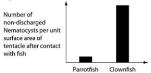 <strong>Use the following information to answer the question below. An elementary school science teacher decided to liven up the classroom with a saltwater aquarium. Knowing that saltwater aquaria can be quite a hassle, the teacher proceeded stepwise. First, the teacher conditioned the water. Next, the teacher decided to stock the tank with various marine invertebrates, including a polychaete, a siliceous sponge, several bivalves, a shrimp, several sea anemones of different types, a colonial hydra, a few coral species, an ectoproct, a sea star, and several herbivorous gastropod varieties. Lastly, she added some vertebrates-a parrotfish and a clownfish. She arranged for daily feedings of copepods and feeder fish. The clownfish readily swims among the tentacles of the sea anemones; the parrotfish avoids them. One hypothesis for the clownfish's apparent immunity is that they slowly build a tolerance to the sea anemone's toxin. A second hypothesis is that a chemical in the mucus that coats the clownfish prevents the nematocysts from being triggered. Which of the following graphs supports the second, but not the first, of these hypotheses?</strong> A) B) C) D)