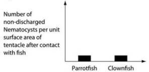 <strong>Use the following information to answer the question below. An elementary school science teacher decided to liven up the classroom with a saltwater aquarium. Knowing that saltwater aquaria can be quite a hassle, the teacher proceeded stepwise. First, the teacher conditioned the water. Next, the teacher decided to stock the tank with various marine invertebrates, including a polychaete, a siliceous sponge, several bivalves, a shrimp, several sea anemones of different types, a colonial hydra, a few coral species, an ectoproct, a sea star, and several herbivorous gastropod varieties. Lastly, she added some vertebrates-a parrotfish and a clownfish. She arranged for daily feedings of copepods and feeder fish. The clownfish readily swims among the tentacles of the sea anemones; the parrotfish avoids them. One hypothesis for the clownfish's apparent immunity is that they slowly build a tolerance to the sea anemone's toxin. A second hypothesis is that a chemical in the mucus that coats the clownfish prevents the nematocysts from being triggered. Which of the following graphs supports the second, but not the first, of these hypotheses?</strong> A) B) C) D)