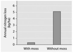 <strong>Researchers tested nitrogen loss from soil where the moss Dawsonia was growing and compared it to soil from which Dawsonia had been removed. The data are presented in the accompanying figure. If the actual results most closely resembled those in part (A) in the figure above, then a further question arising from these data is: Do the Dawsonia rhizoids have to be alive to reduce soil nitrogen loss, or do dead rhizoids have the same effect? Arrange the following steps in the correct sequence to test this hypothesis. 1) Add metabolic poison to the soil of the experimental plot of mosses. 2) Apply water equally to the experimental and control plots. 3) Measure initial soil nitrogen contents of control and experimental plots. 4) Determine nitrogen loss from the soil of control and experimental plots. 5) Establish two identical plots of Dawsonia mosses; one as a control, the other as the experimental treatment.</strong> A) 5 → 1 → 3 → 2 → 4 B) 5 → 2 → 3 → 1 → 4 C) 5 → 3 → 1 → 2 → 4 D) 4 → 5 → 1 → 3 → 2 E) 5 → 3 → 2 →? 1 → 4