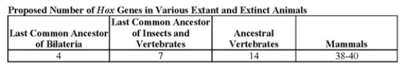 <strong>Use the following table to answer the question(s) below. What conclusion is apparent from the data in the accompanying table?</strong> A) Land animals have more Hox genes than do those that live in water. B) All bilaterian phyla have had the same degree of expansion in their numbers of Hox genes. C) Acoel flatworms should be expected to contain seven Hox genes. D) The expansion in number of Hox genes throughout vertebrate evolution cannot be explained merely by three duplications of the ancestral vertebrate Hox cluster. E) Extant insects all have seven Hox genes.