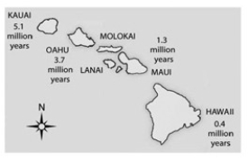 <strong> According to the theory of sea-floor spreading, oceanic islands, such as the Hawaiian Islands depicted in the accompanying figure, form as oceanic crustal plates move over a stationary hot spot in the mantle. Currently, the big island of Hawaii is thought to be over a hot spot, which is why it is the only one of the seven large islands that has active volcanoes. What should be TRUE of the island of Hawaii? 1) Scientists in search of ongoing speciation events are more likely to find them here than on the other six large islands. 2) Its species should be more closely related to those of nearer islands than to those of farther islands. 3) It should have a rich fossil record of terrestrial organisms. 4) It should have species that are not found anywhere else on Earth. 5) On average, it should have fewer species per unit surface area than the other six islands.</strong> A) 1, 2, and 3 B) 1, 2, and 5 C) 1, 2, 3, and 4 D) 1, 2, 4, and 5 E) 2, 3, 4, and 5