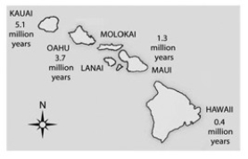 <strong>  Soon after the island of Hawaii rose above the sea surface (somewhat less than 1 million years ago) and organisms colonized the island, the evolution of life on this new island should have been most strongly influenced by ________.</strong> A) a genetic bottleneck B) sexual selection C) habitat differentiation D) founder effects <div style=padding-top: 35px> 