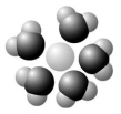 <strong>Based on your knowledge of the polarity of water molecules, the solute molecule depicted here is most likely ________. </strong> A) positively charged B) negatively charged C) without charge D) hydrophobic E) nonpolar