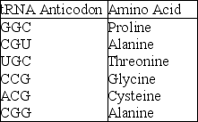 <strong>Use the following information to answer the question below. A part of an mRNA molecule with the following sequence is being read by a ribosome: 5' CCG-ACG 3'(mRNA). The following charged transfer RNA molecules (with their anticodons shown in the 3' to 5' direction) are available. Two of them can correctly match the mRNA so that a dipeptide can form. The anticodon loop of the first tRNA that will complement this mRNA is</strong> A) 3' GGC 5' B) 5' GGC 3' C) 5' ACG 3' D) 5' UGC 3' E) 3' UGC 5'
