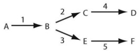<strong>  Refer to the associated figure. In the branched metabolic pathway indicated in the figure, if enzyme 3 is defective and the amount of each enzyme is constant, you might expect to see an increase in the amount of which intermediate or product?</strong> A) E B) B C) F D) D <div style=padding-top: 35px> 