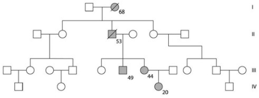 <strong>The accompanying figure shows the pedigree for a family. Dark-shaded symbols represent individuals with one of the two major types of colon cancer. Numbers under the symbols are the individual's age at the time of diagnosis. Males are represented by squares, females by circles.   From this pedigree, this trait seems to be inherited ________.</strong> A) from mothers B) as an autosomal recessive C) as a result of epistasis D) as an autosomal dominant E) as an incomplete dominant <div style=padding-top: 35px> 