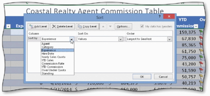 <strong> In the Sort dialog box,shown in the accompanying figure,the ____ is the Sort by field.</strong> A) minor sort key B) major sort key C) intermediate sort key D) none of the above