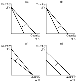 <strong>Graph 22-2 Refer to Graph 22-2. Which of the graphs shown reflects an increase in the price of good Y?</strong> A) A B) B C) C D) D