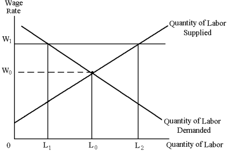 <strong>Graph 28-1 The government has introduced the minimum wage law. The minimum wage is set at W<sub>1</sub> as shown in Graph 28-1. After introducing the minimum wage law, the quantity of labour supplied is _______ </strong> A) L<sub>0</sub>, the quantity of labour demanded is L<sub>0</sub> and the amount of unemployed labour is zero B) L<sub>0</sub>, the quantity of labour demanded is L1and the amount of unemployed labour is L<sub>0</sub>-L<sub>1</sub> C) L<sub>2</sub>, the quantity of labour demanded is L<sub>0</sub> and the amount of unemployed labour is L<sub>2</sub>-L<sub>0</sub> D) L<sub>2</sub>, the quantity of labour demanded is L<sub>1</sub> and the amount of unemployed labour is L<sub>2</sub>-L<sub>1</sub>