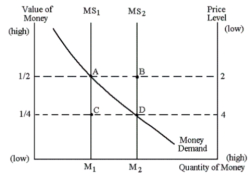 <strong>Graph 30-1 At point B in Graph 30-1: At point B in Graph 30-1:</strong> A) the value of money is less than its equilibrium level B) money supply is greater than money demand C) the price level is higher than its equilibrium level D) money demand is greater than money supply