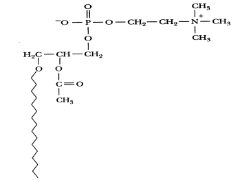 <strong>What does this structure represent?  </strong> A)sphingomyelin B)phosphatidylcholine C)platelet-activating factor (PAF) D)phosphatidylethanolamine <div style=padding-top: 35px> 