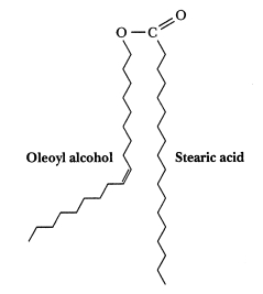 <strong>What is this structure an example of?  </strong> A)a diacylglycerol B)a triacylglycerol C)a wax ester D)an eicosanoid <div style=padding-top: 35px> 