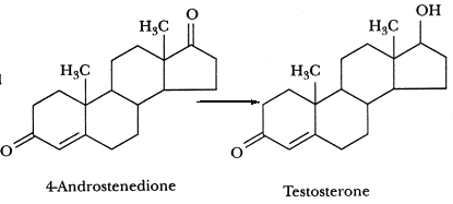 <strong>Which of the following enzymes catalyzes this reaction?  </strong> A)desmolase B)17a-hydroxylase C)17,20-lyase D)17b-hydroxysteroid dehydrogenase <div style=padding-top: 35px> 