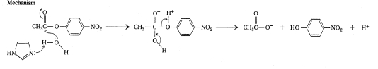 <strong>Which of the following types of catalytic mechanisms classifies the reaction below? </strong> A)covalent nucleophilic B)covalent electrophilic C)specific base catalysis D)general base catalysis