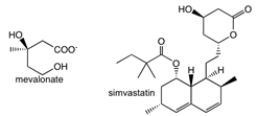 <strong>HMG-CoA reductase, the regulatory enzyme for the synthesis of cholesterol, is inhibited by simvastatin. Based upon the structure of the product, mevalonate, and the structure of simvastatin, what sort of enzyme inhibition would be produced by simvastatin?  </strong> A) competitive B) non-competitive C) uncompetitive D) mechanism-based inactivator E) none of the above <div style=padding-top: 35px> 