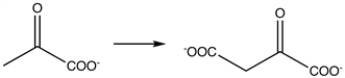 <strong>What coenzyme would be required in the following reaction?  </strong> A) ADP B) thiamine pyrophosphate C) biotin D) lipoic acid E) coenzyme A <div style=padding-top: 35px> 